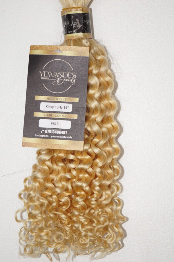 Kinky Curly Human Hair Bulk - Image 7