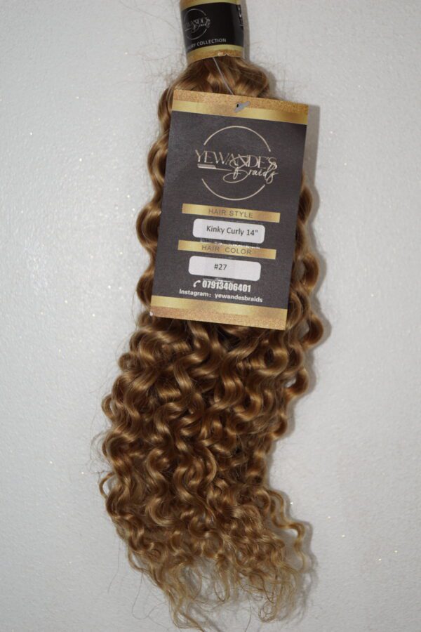 Kinky Curly Human Hair Bulk - Image 14