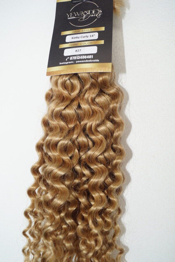 Kinky Curly Human Hair Bulk - Image 3