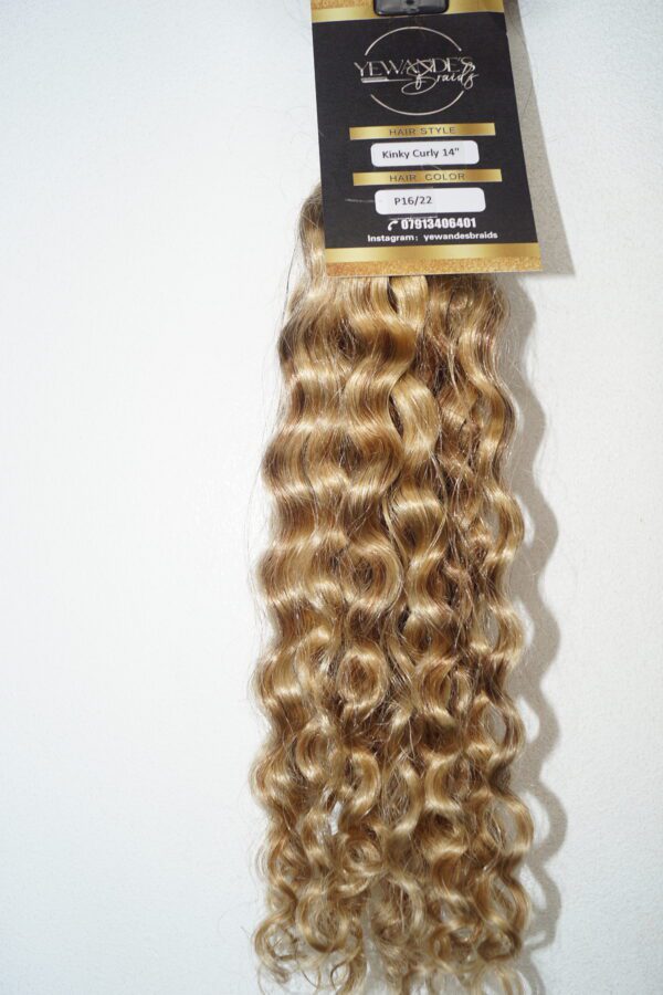 Kinky Curly Human Hair Bulk - Image 4