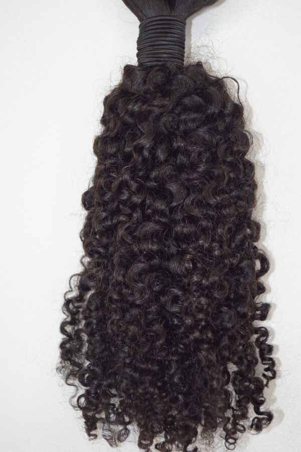 Four Ayye (Wet Curl) Human Hair Bulk